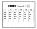 Roll and Read Short 'i' Words Practice thumbnail 7