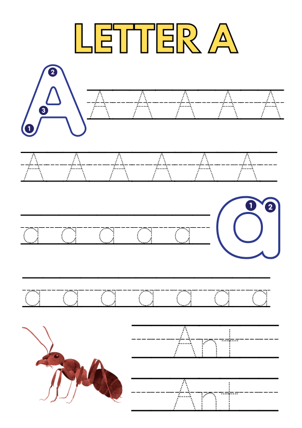 Tracing the Alphabet   A to Z Workbook
