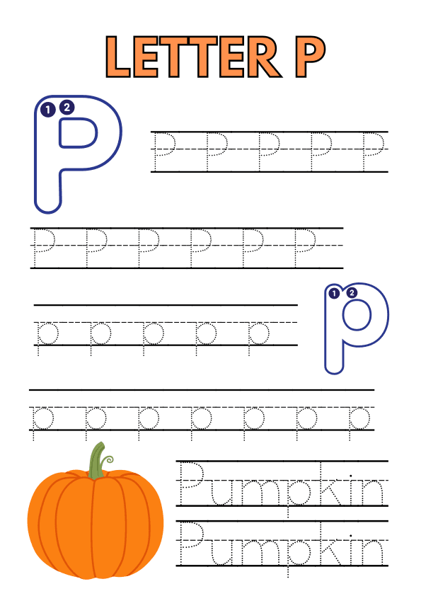 Tracing the Alphabet   A to Z Workbook