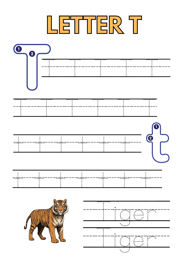 Tracing the Alphabet   A to Z Workbook