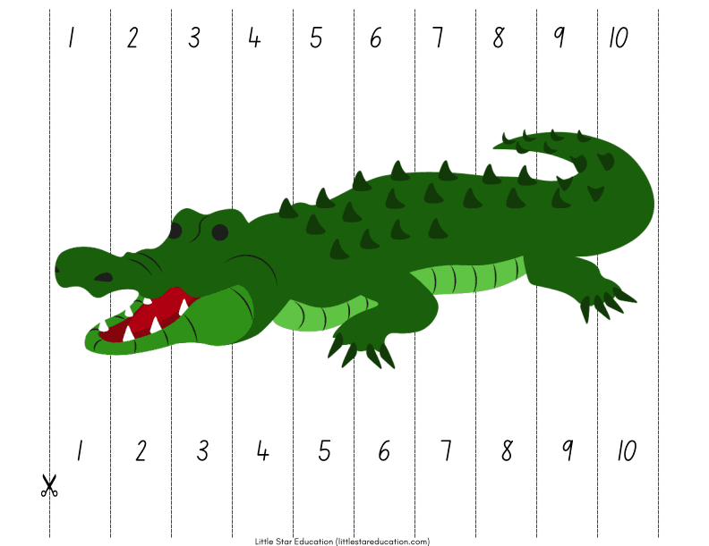Animal Sequencing Animal Puzzles: Alligator