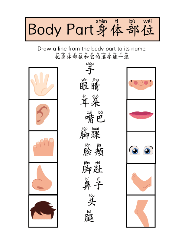 Chinese: Body Parts Worksheet