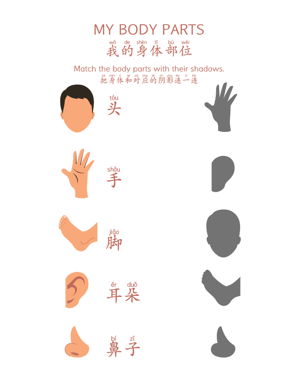 Chinese: My Body Parts  Match  Worksheet