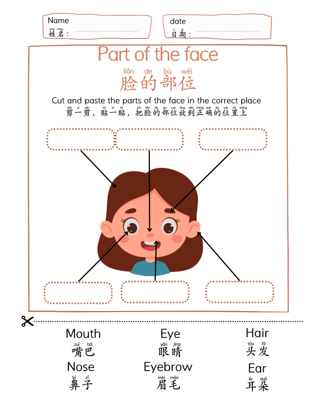 Chinese: The Parts of the Face Name