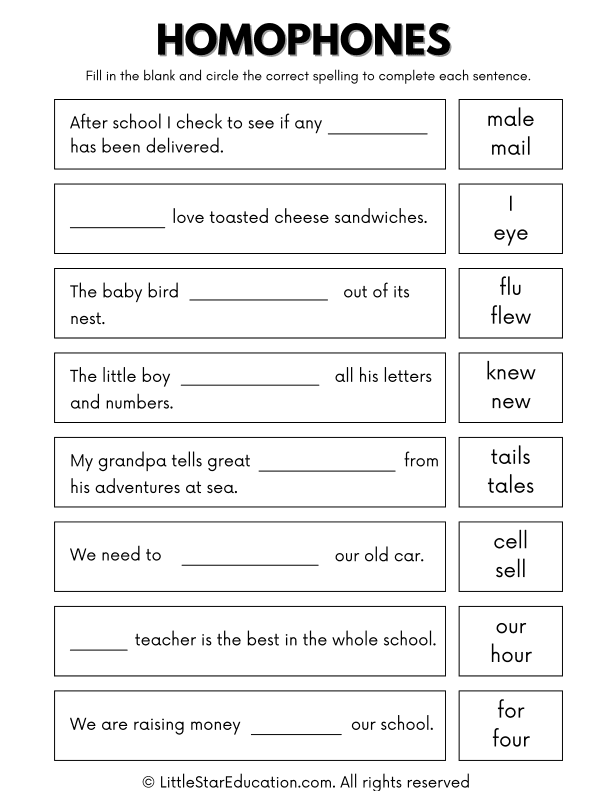 Grade 2 Homophones Worksheet