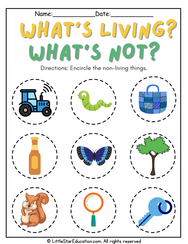 Identifying Living and Non-Living Things