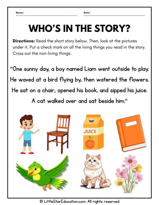Living vs Nonliving Sort for Preschoolers