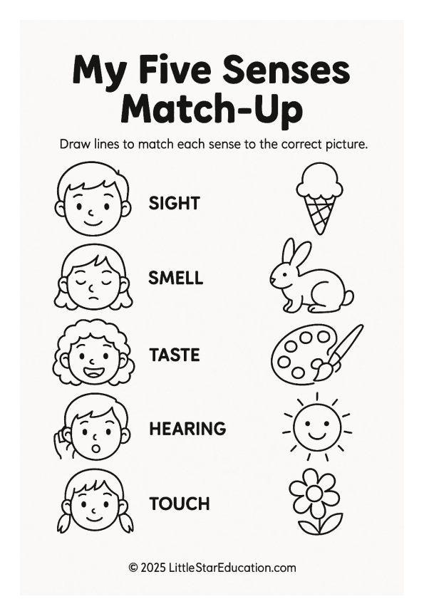 My Five Senses Match Up Worksheet for Kids
