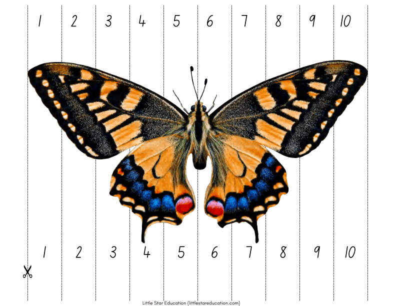 Number Sequencing: Butterfly