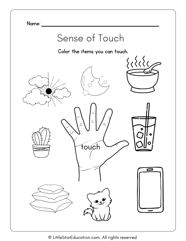 Sense of Touch Science Worksheet