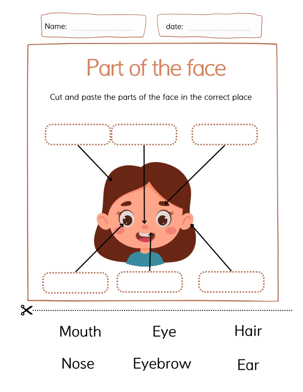 The Parts of Face Name