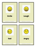 Kindergarten Emotions & Faces Flash Cards thumbnail 1
