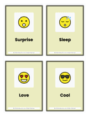 Kindergarten Emotions & Faces Flash Cards thumbnail 2