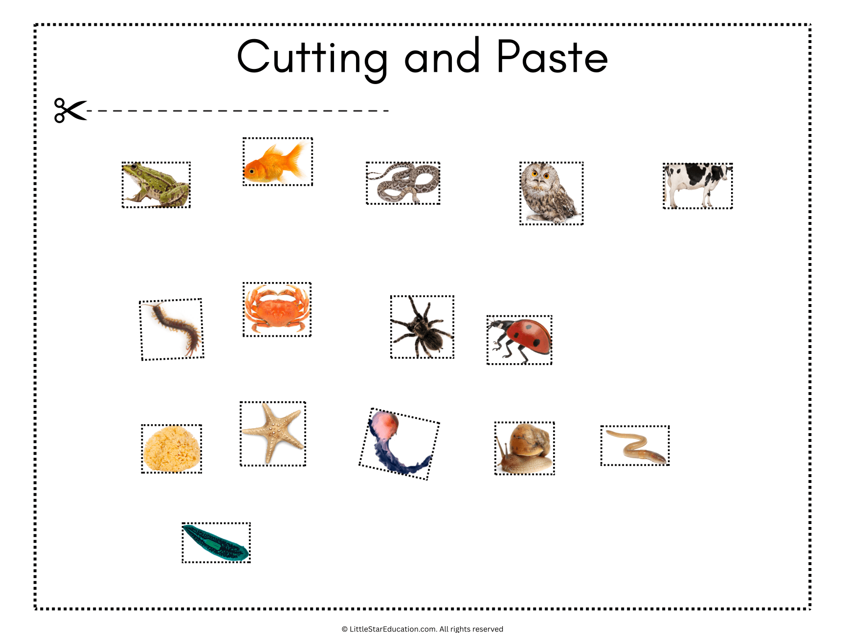 Vertebrates and Invertebrates Classification Classroom Poster