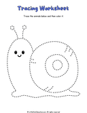 Animal Tracing and Coloring Workbook for Preschool Fine Motor Skills thumbnail 11