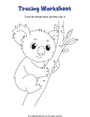 Animal Tracing and Coloring Workbook for Preschool Fine Motor Skills thumbnail 9