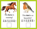 Bilingual Animal Vocabulary Workbook for Preschool and Kindergarten thumbnail 4