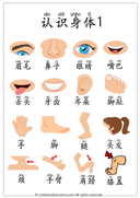Chinese Body Parts Vocabulary Workbook for Preschool and Kindergarten thumbnail 1