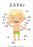 Chinese Body Parts Vocabulary Workbook for Preschool and Kindergarten thumbnail 2