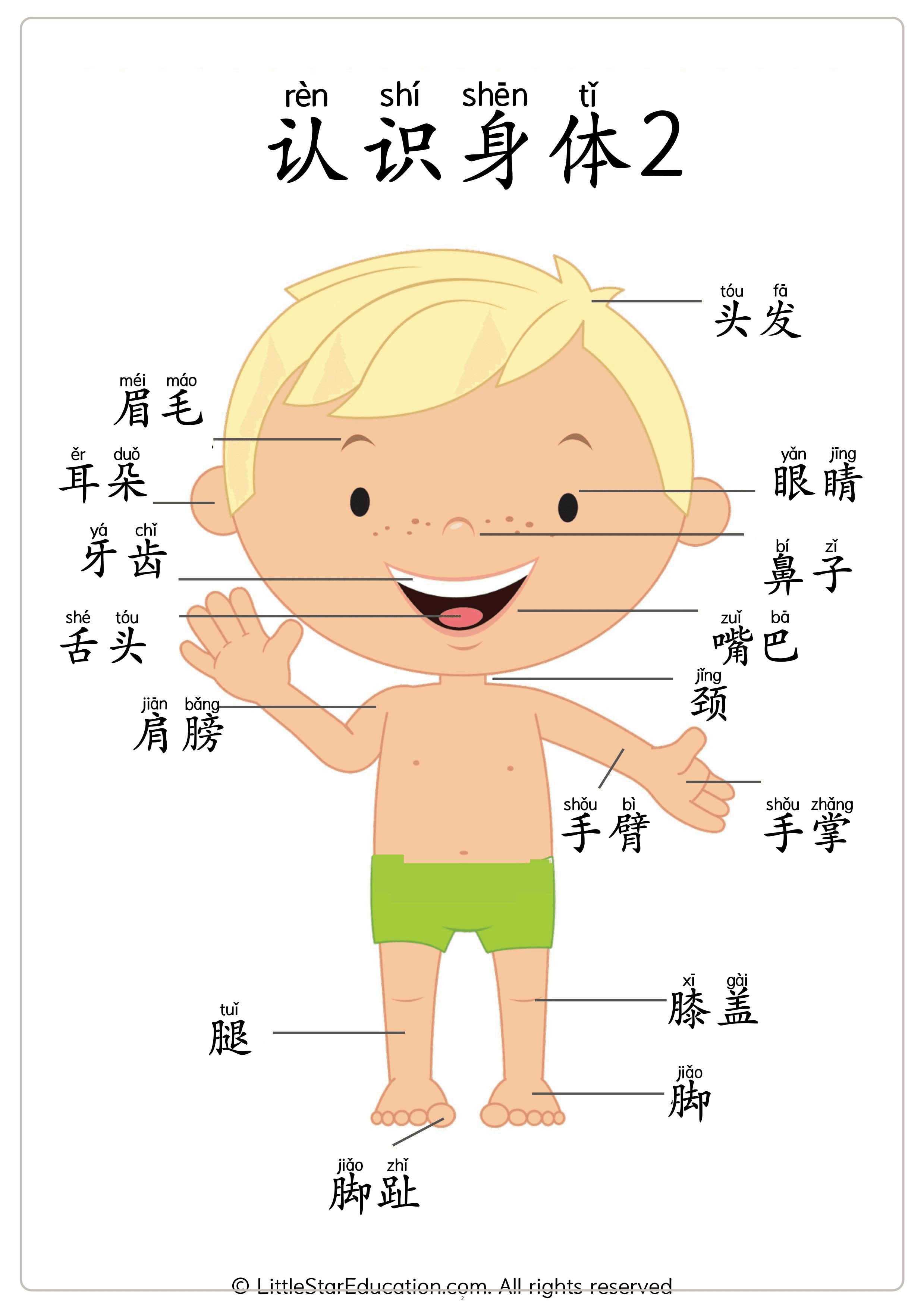 Chinese Body Parts Vocabulary Workbook for Preschool and Kindergarten