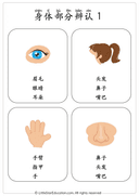 Chinese Body Parts Vocabulary Workbook for Preschool and Kindergarten thumbnail 3