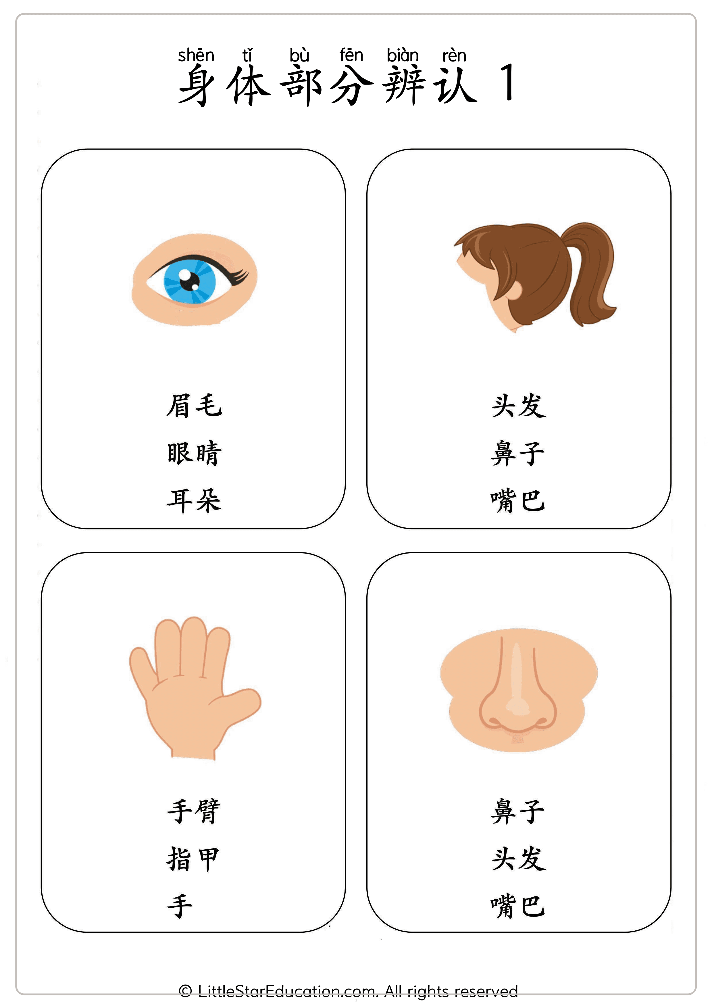Chinese Body Parts Vocabulary Workbook for Preschool and Kindergarten