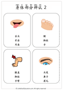 Chinese Body Parts Vocabulary Workbook for Preschool and Kindergarten thumbnail 4
