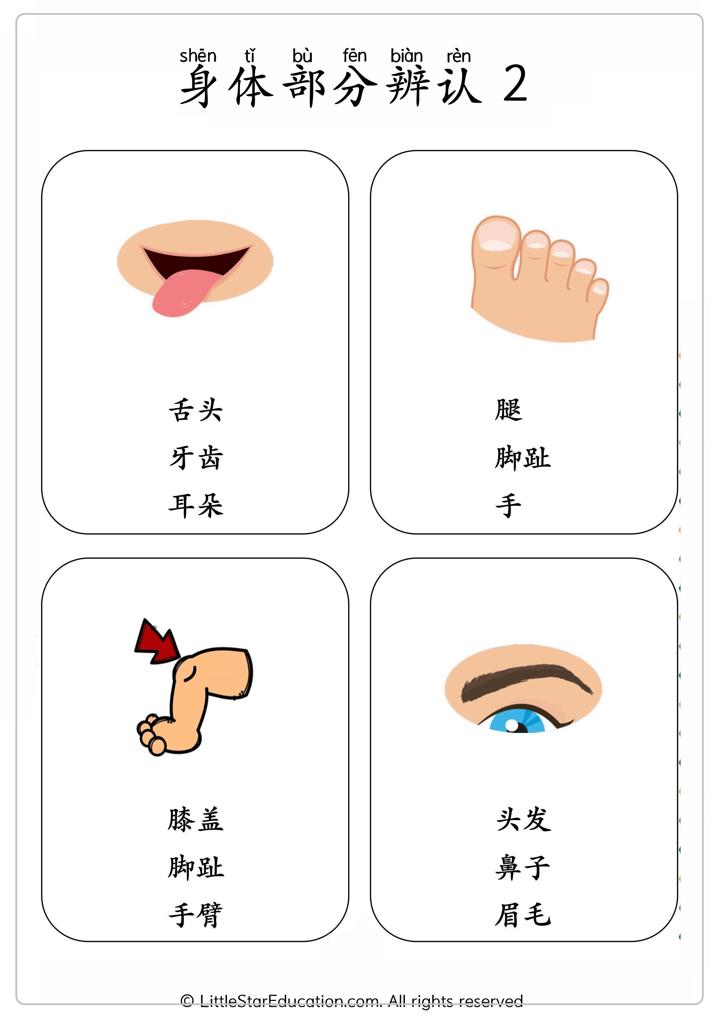 Chinese Body Parts Vocabulary Workbook for Preschool and Kindergarten