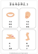 Chinese Body Parts Vocabulary Workbook for Preschool and Kindergarten thumbnail 5