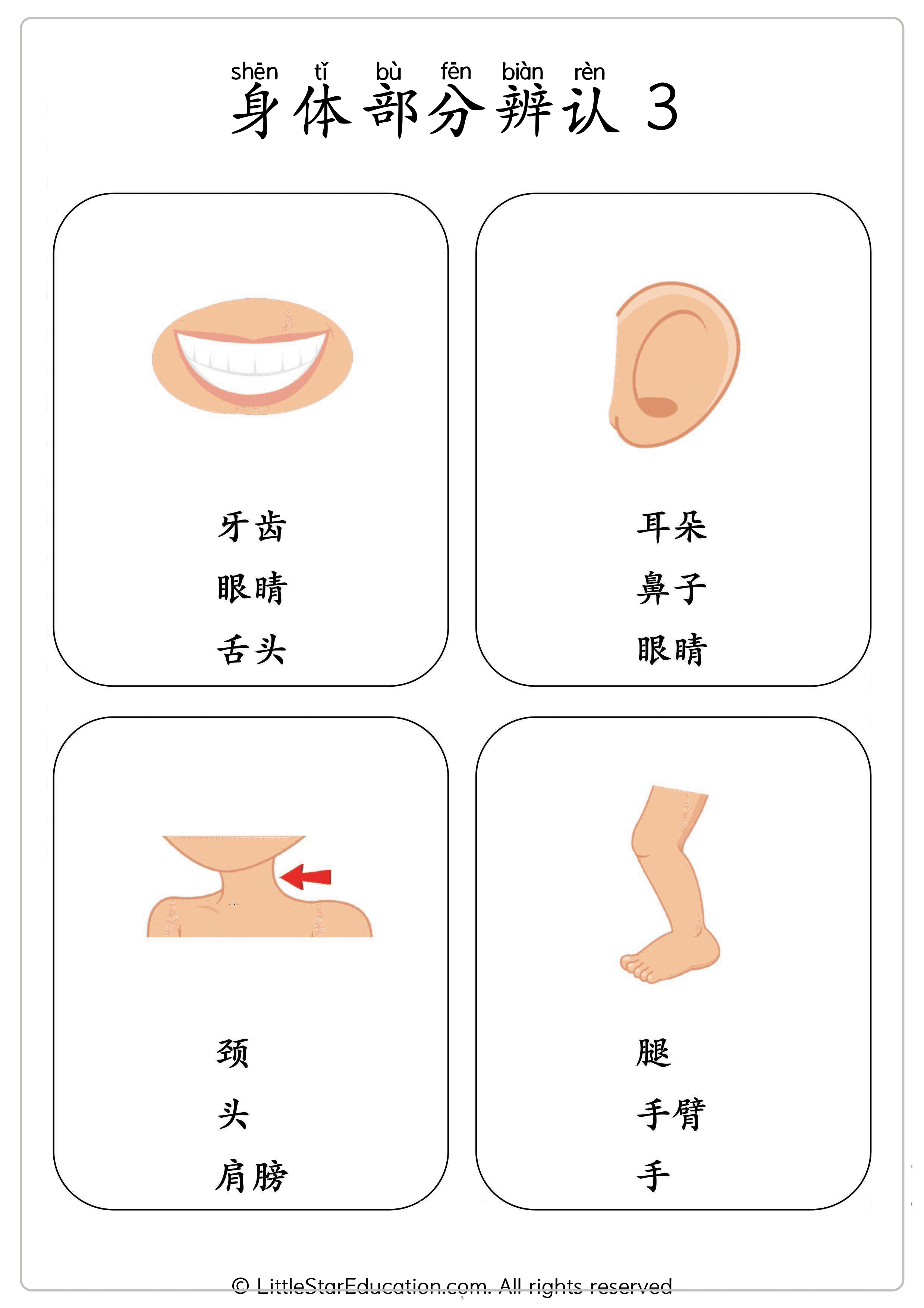 Chinese Body Parts Vocabulary Workbook for Preschool and Kindergarten