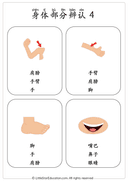Chinese Body Parts Vocabulary Workbook for Preschool and Kindergarten thumbnail 6