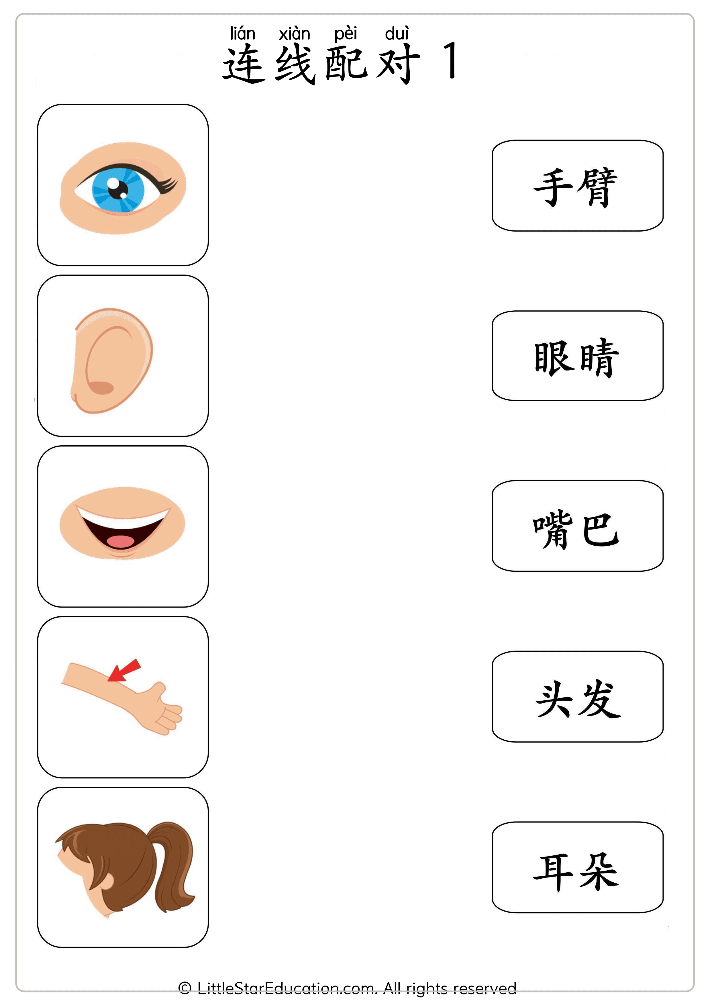 Chinese Body Parts Vocabulary Workbook for Preschool and Kindergarten