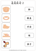 Chinese Body Parts Vocabulary Workbook for Preschool and Kindergarten thumbnail 8