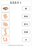 Chinese Body Parts Vocabulary Workbook for Preschool and Kindergarten thumbnail 9