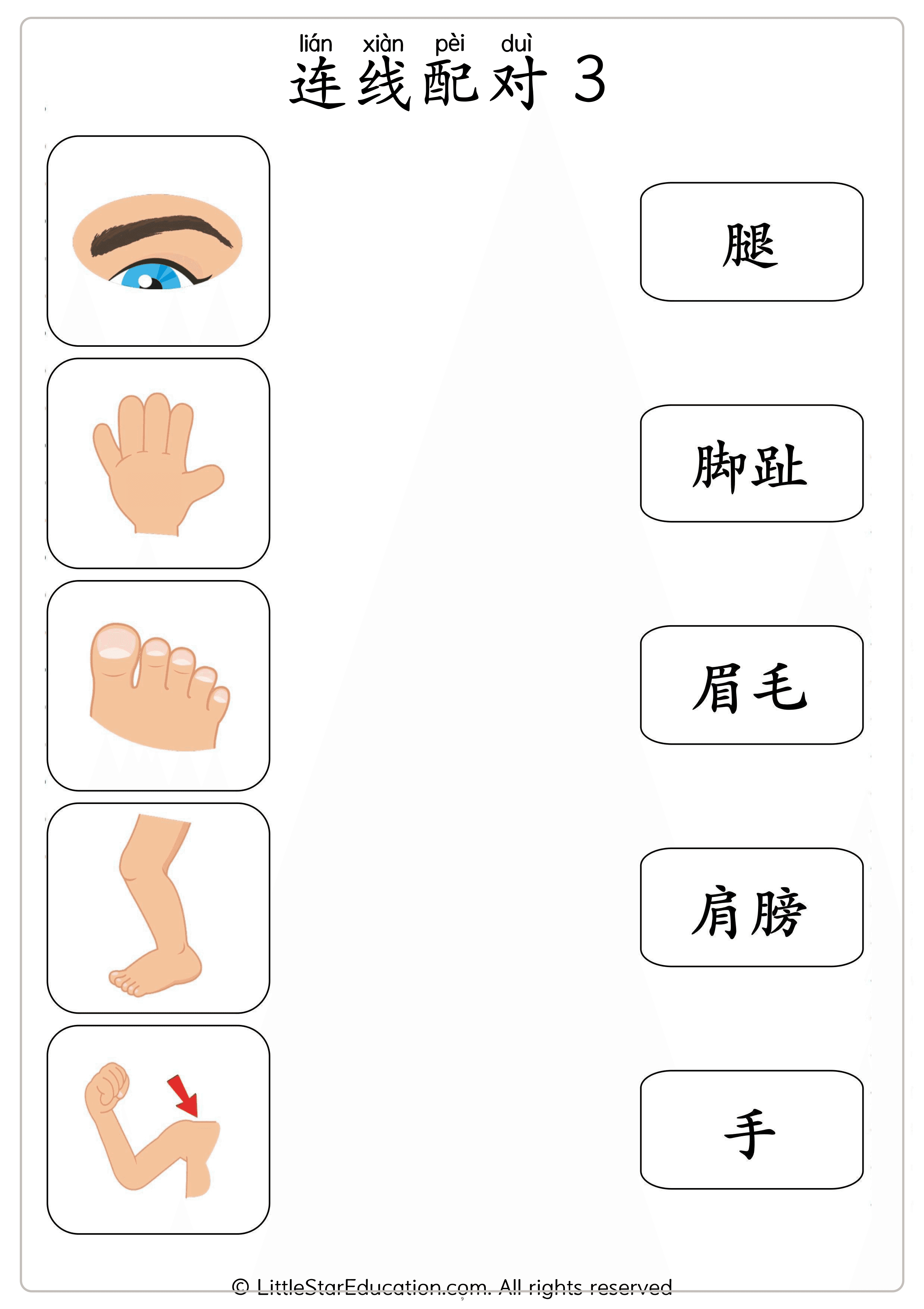 Chinese Body Parts Vocabulary Workbook for Preschool and Kindergarten