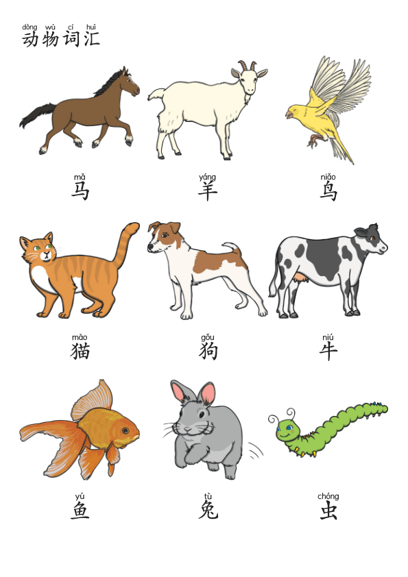 Chinese:  动物世界识字练习册 Chinese Animal Vocabulary and Writing Practice for Early Learners