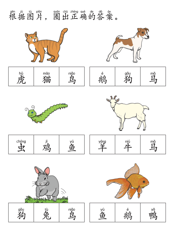 Chinese:  动物世界识字练习册 Chinese Animal Vocabulary and Writing Practice for Early Learners