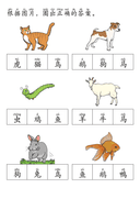 Chinese:  动物世界识字练习册 Chinese Animal Vocabulary and Writing Practice for Early Learners thumbnail 6