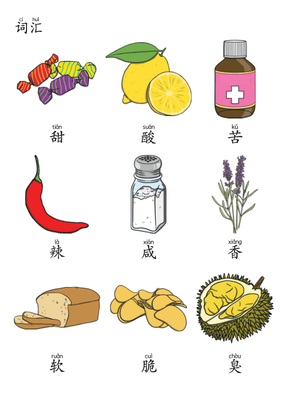 Chinese: 食物的味道识字练习册 Chinese Food Tastes Vocabulary Practice for Kids: Sweet, Sour, Spicy, More