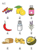 Chinese: 食物的味道识字练习册 Chinese Food Tastes Vocabulary Practice for Kids: Sweet, Sour, Spicy, More thumbnail 2