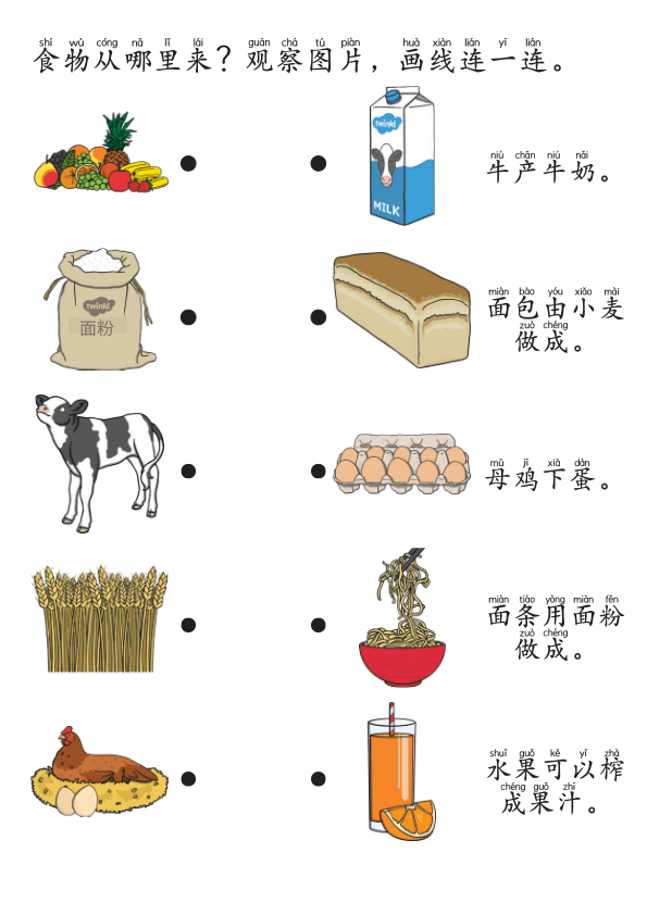 Chinese:  食物主题识字练习册 Chinese Food Vocabulary and Character Writing Practice for Kids