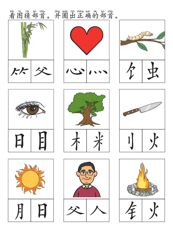 Chinese: 部首和偏旁 练习册(二) Chinese Radicals and Components Practice Book for Elementary Students
