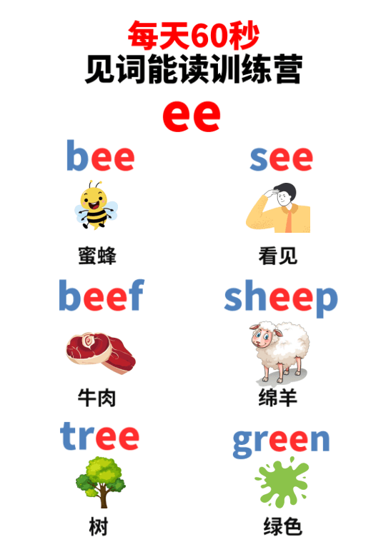 Chinese: Daily English Phonics Practice – Word Ending Fluency Pack I 见词能读拼读练习册