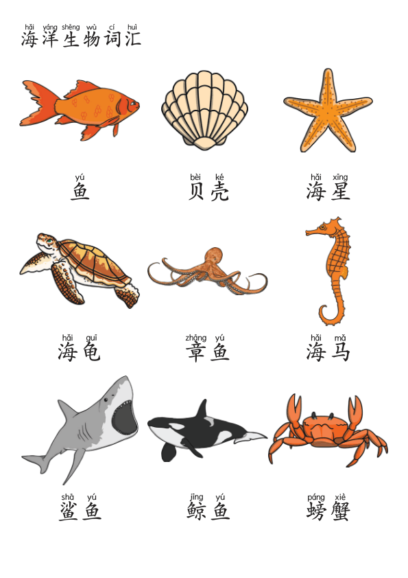 Chinese:  海洋生物识字练习册 Ocean Animals Chinese Character Practice Workbook for Early Learners