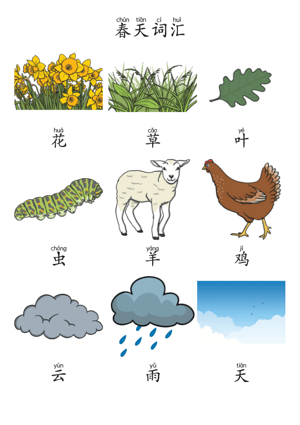 Chinese:  春天主题识字练习册 Spring-Themed Chinese Character Tracing and Vocabulary for Preschool