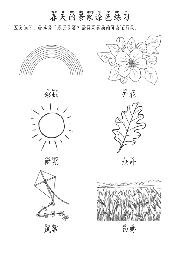 Chinese:  春天主题识字练习册 Spring-Themed Chinese Character Tracing and Vocabulary for Preschool