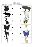 Chinese:  春天主题识字练习册 Spring-Themed Chinese Character Tracing and Vocabulary for Preschool thumbnail 7