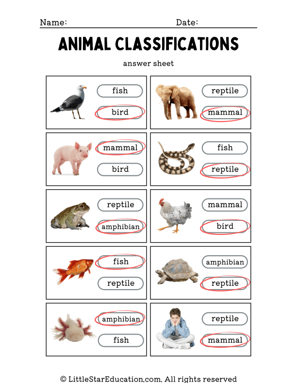 Animal Classification Interactive Science Worksheet