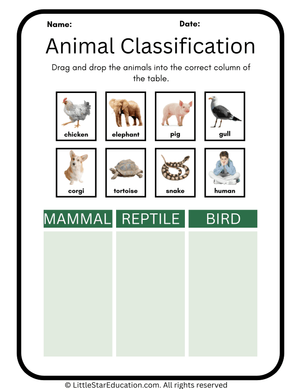 Animal Classification Worksheets for Primary Science