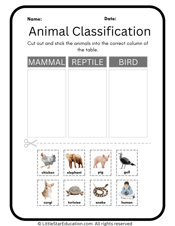 Animal Classification Worksheets for Primary Science